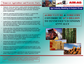 Research Documents of Tennessee